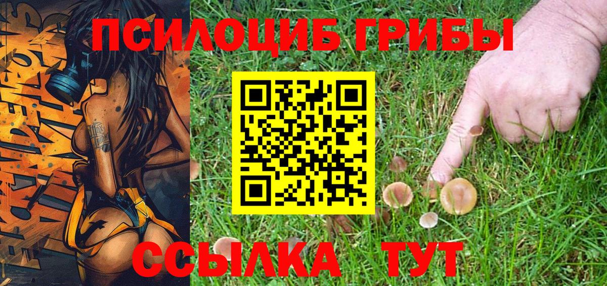 Урай  Галлюциногенные грибы Cubensis  где продают наркотики  Вход с VPN 
